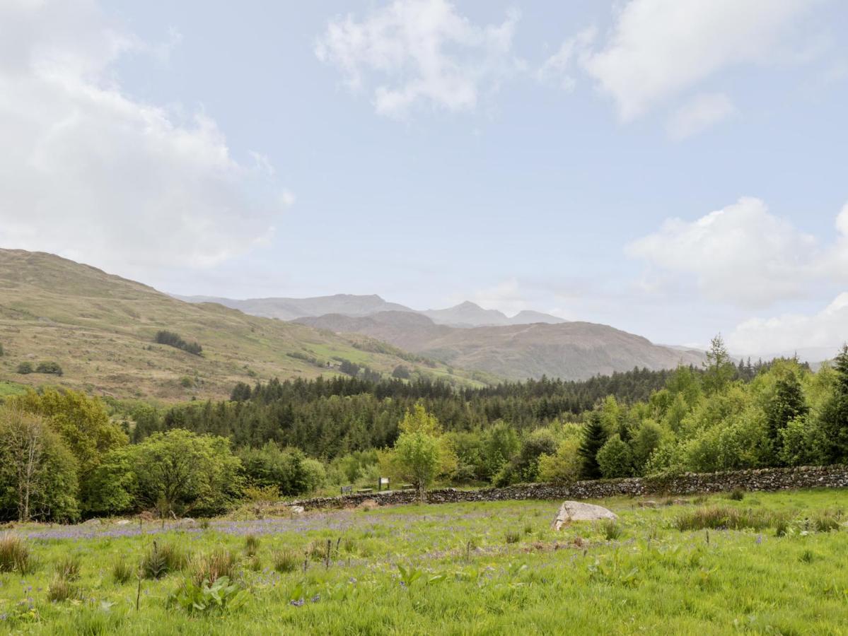 Holiday home Snowdon Vista